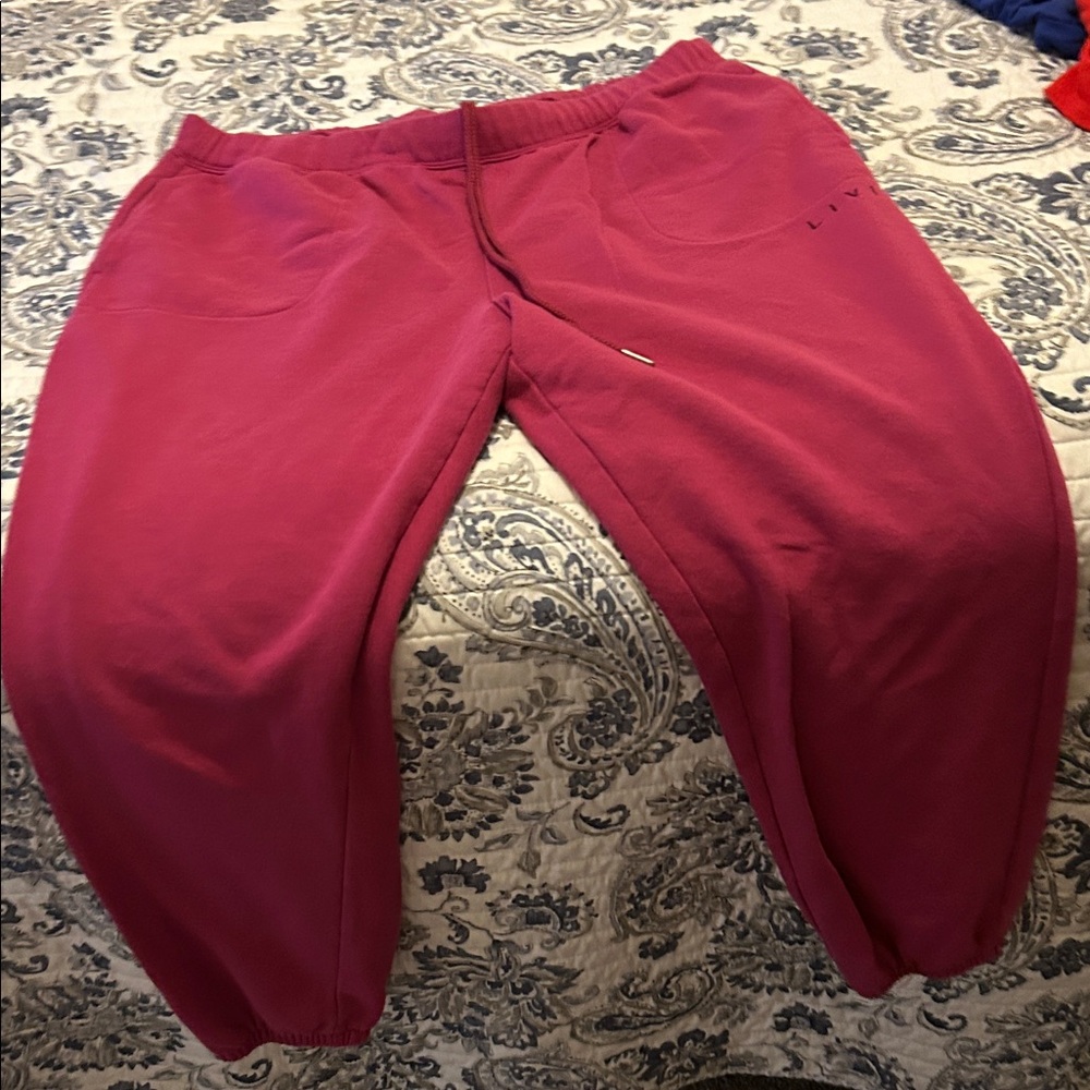 Livi Active Magenta Joggers